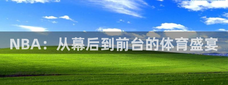 NBA：从幕后到前台的体育盛宴