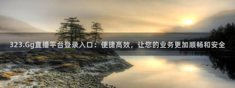 323.Gg直播平台登录入口：便捷高效，让您的业务更加顺畅和安全