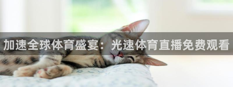 加速全球体育盛宴：光速体育直播免费观看