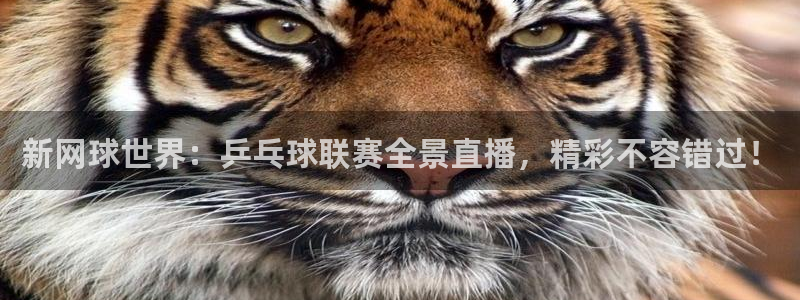 新网球世界：乒乓球联赛全景直播，精彩不容错过！