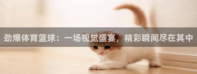 劲爆体育篮球：一场视觉盛宴，精彩瞬间尽在其中