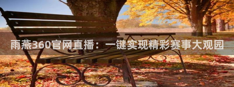 雨燕360官网直播：一键实现精彩赛事大观园