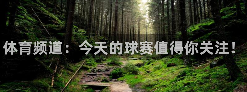 体育频道：今天的球赛值得你关注！
