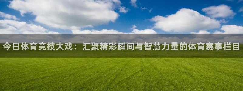 今日体育竞技大戏：汇聚精彩瞬间与智慧力量的体育赛事栏目
