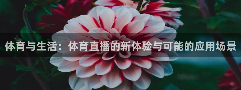 体育与生活：体育直播的新体验与可能的应用场景