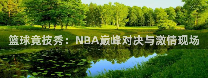 篮球竞技秀：NBA巅峰对决与激情现场