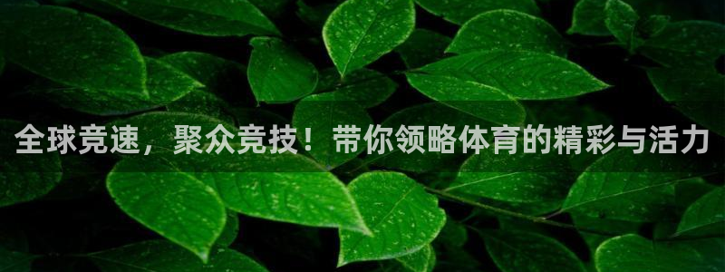 全球竞速，聚众竞技！带你领略体育的精彩与活力