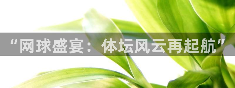 19男篮世界杯：“网球盛宴：体坛风云再起航”