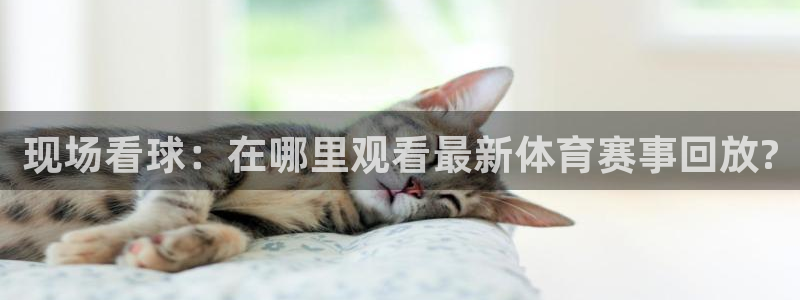 奥地利世界杯直播：现场看球：在哪里观看最新体育赛事回放?