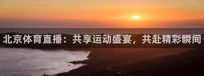 飞球交通：北京体育直播：共享运动盛宴，共赴精彩瞬间