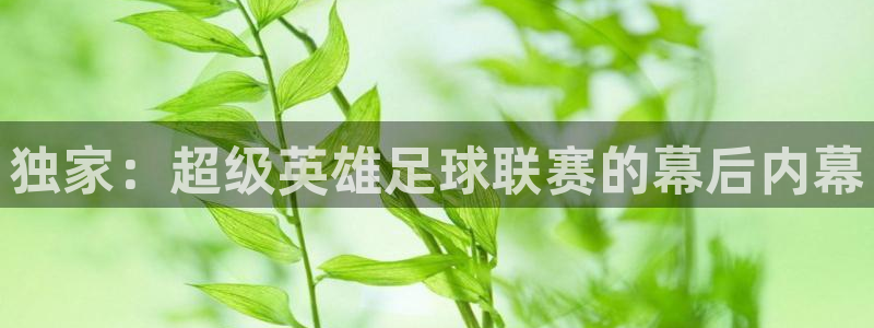 2002年世界杯首场比赛：独家：超级英雄足球联赛的幕后内幕