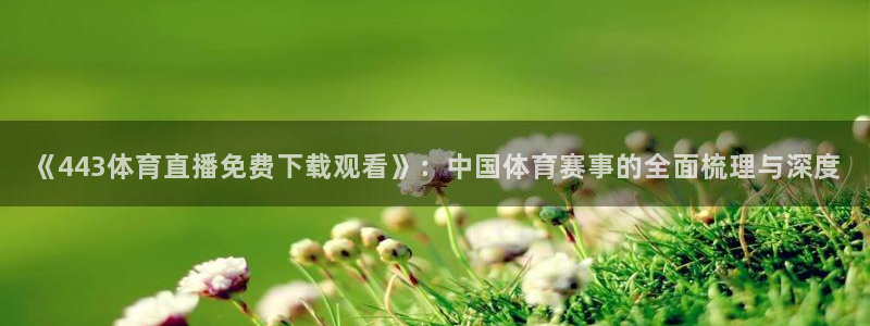世界杯比赛用球几号：《443体育直播免费下载观看》：中国体育赛事的全面梳理与深度