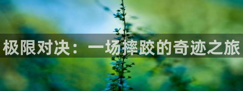 世界杯4分一决赛：极限对决：一场摔跤的奇迹之旅