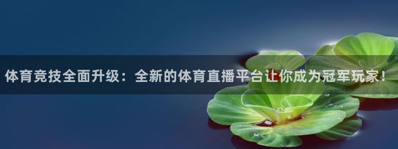 男足世界杯预选赛亚洲积分榜：体育竞技全面升级：全新的体育直播平台让你成为冠军玩家