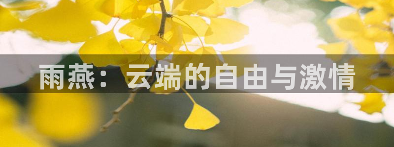 u19男篮世界杯2023