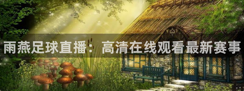 飞球直播预选赛中国