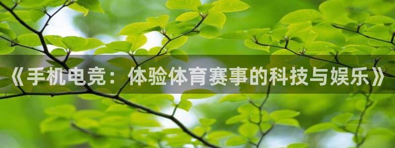 世界杯大洋洲区预选赛积分榜：《手机电竞：体验体育赛事的科技与娱乐》