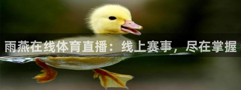 18年男篮世界杯：雨燕在线体育直播：线上赛事，尽在掌握