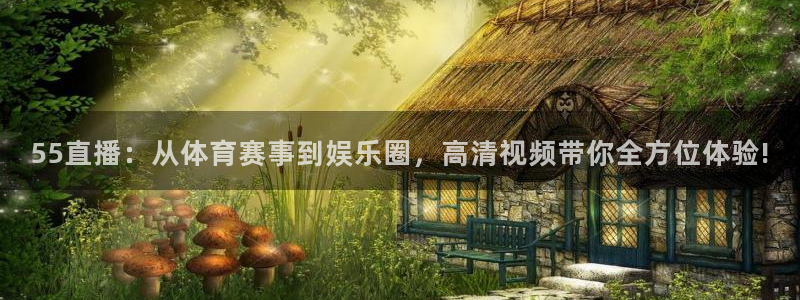 2010年南非足球世界杯冠军：55直播：从体育赛事到娱乐圈，高清视频带你全方位体验!