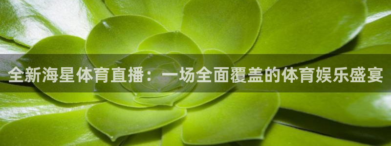 飞球直播非洲区预选赛赛程：全新海星体育直播：一场全面覆盖的体育娱乐盛宴